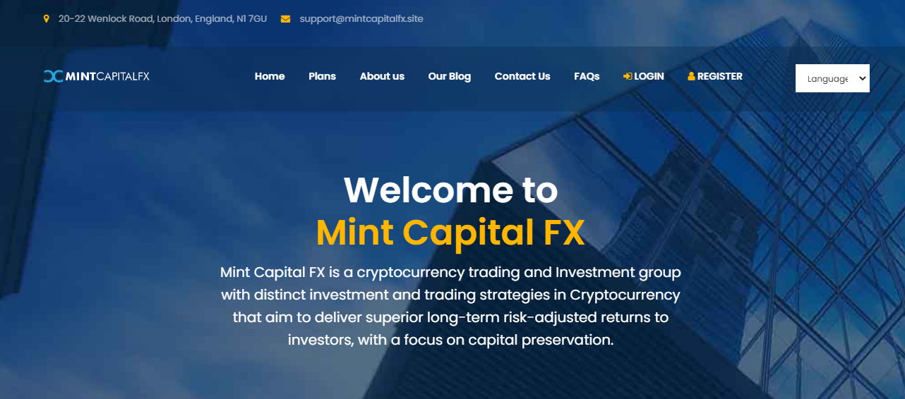Mint Capital Fx Review