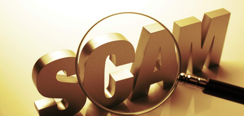 Ortega Capital Limited Review