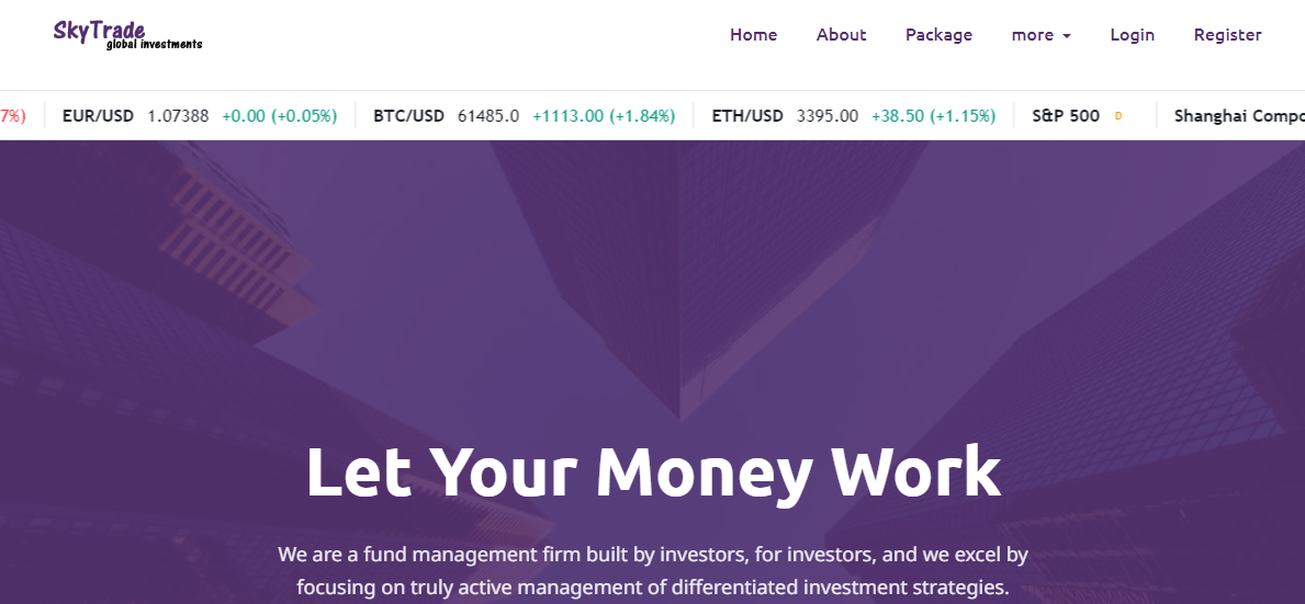 SkyTradeGlobalInvestments Review