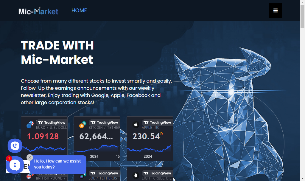 Mic Market Review