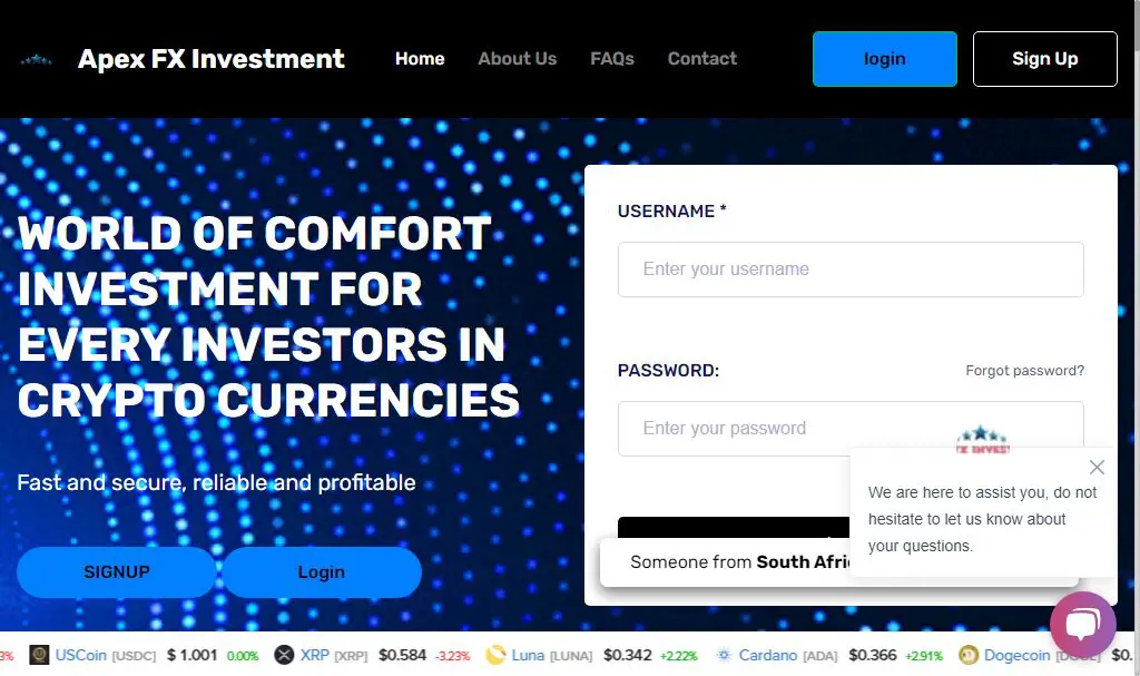 Apex FX Investment Review